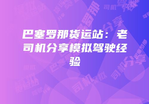 巴塞罗那货运站：老司机分享模拟驾驶经验