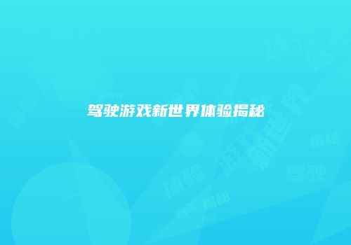 驾驶游戏新世界体验揭秘