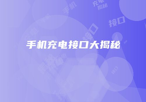 手机充电接口大揭秘