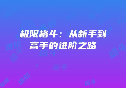 极限格斗：从新手到高手的进阶之路