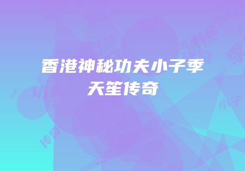 香港神秘功夫小子季天笙传奇