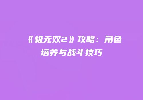 《极无双2》攻略：角色培养与战斗技巧