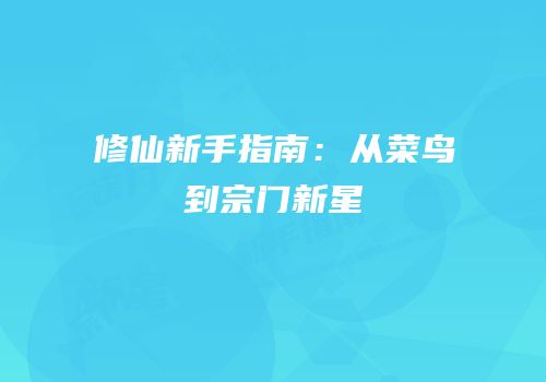 修仙新手指南：从菜鸟到宗门新星