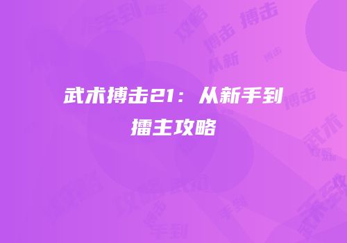 武术搏击21：从新手到擂主攻略