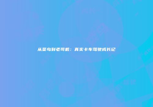 从菜鸟到老司机：真实卡车驾驶成长记