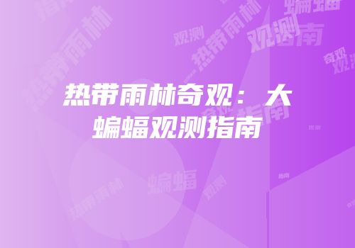 热带雨林奇观：大蝙蝠观测指南
