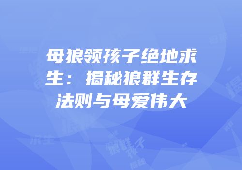 母狼领孩子绝地求生：揭秘狼群生存法则与母爱伟大