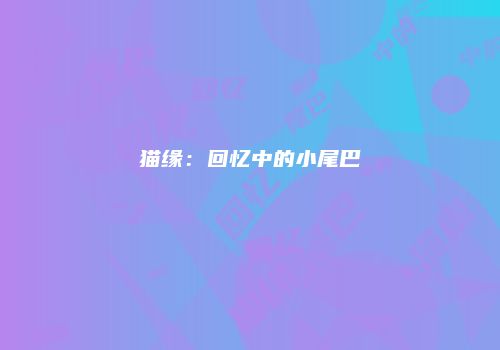 猫缘：回忆中的小尾巴