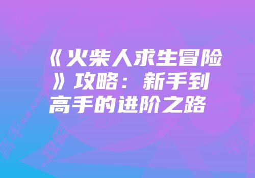 《火柴人求生冒险》攻略：新手到高手的进阶之路