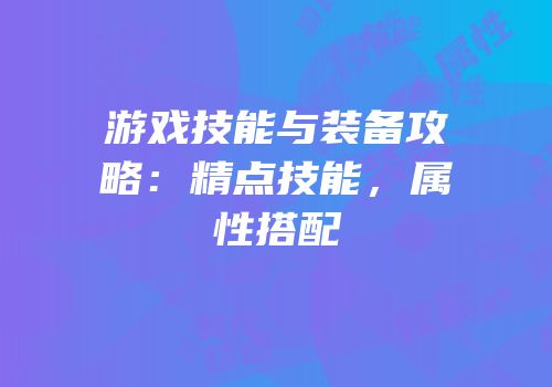 游戏技能与装备攻略：精点技能，属性搭配