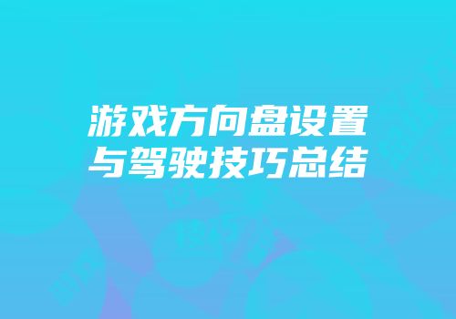 游戏方向盘设置与驾驶技巧总结