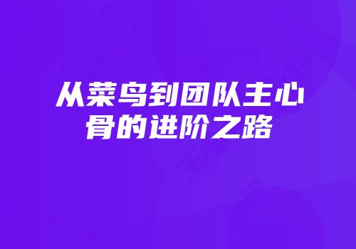 从菜鸟到团队主心骨的进阶之路