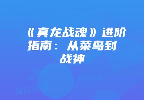 《真龙战魂》进阶指南：从菜鸟到战神