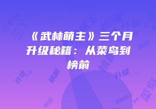 《武林萌主》三个月升级秘籍：从菜鸟到榜前