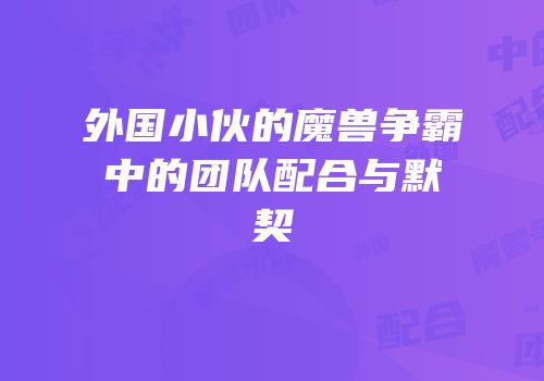 外国小伙的魔兽争霸中的团队配合与默契