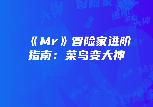 《Mr》冒险家进阶指南：菜鸟变大神