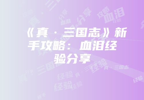 《真·三国志》新手攻略：血泪经验分享