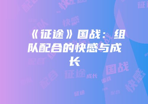 《征途》国战：组队配合的快感与成长