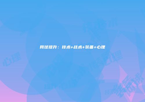 网球提升：技术+战术+装备+心理