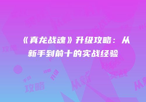 《真龙战魂》升级攻略：从新手到前十的实战经验