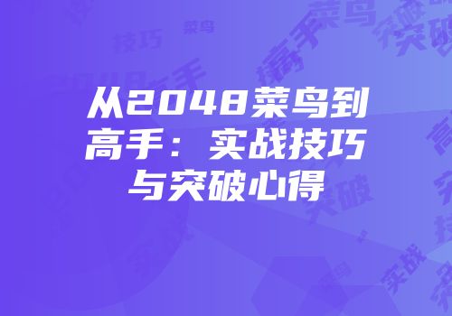 从2048菜鸟到高手：实战技巧与突破心得