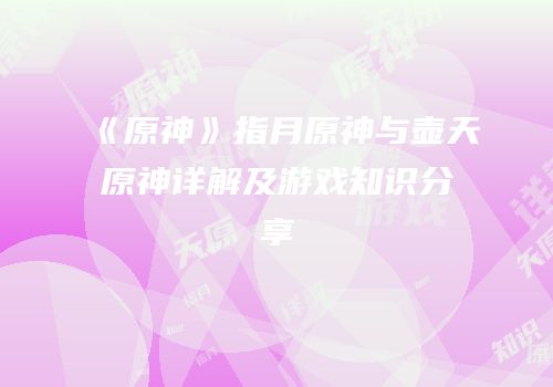 《原神》指月原神与壶天原神详解及游戏知识分享