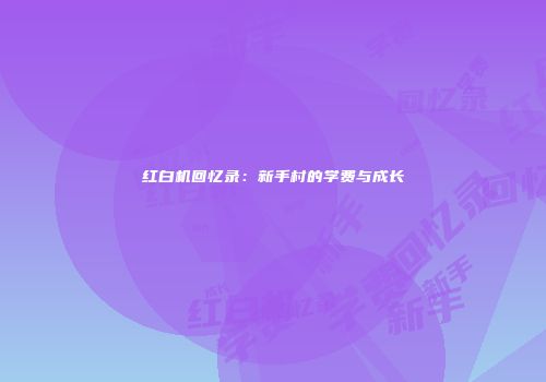 红白机回忆录：新手村的学费与成长