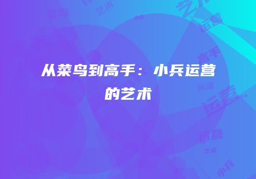 从菜鸟到高手：小兵运营的艺术