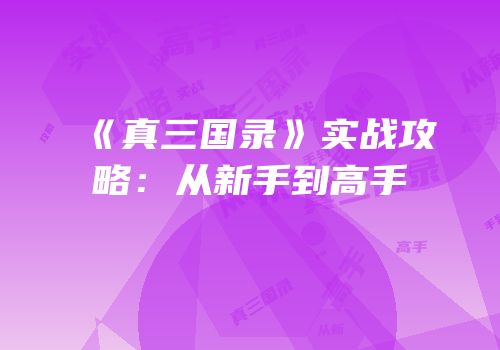 《真三国录》实战攻略：从新手到高手