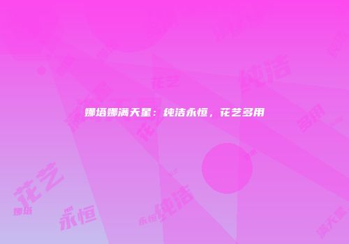 娜塔娜满天星：纯洁永恒，花艺多用