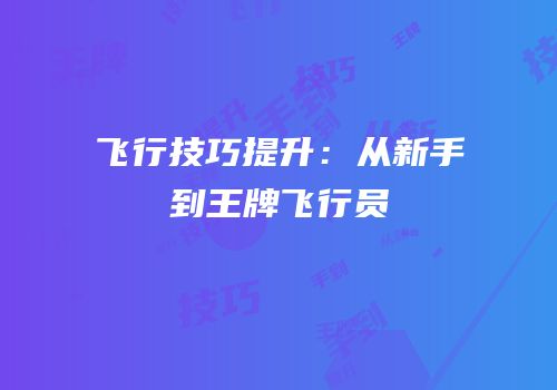 飞行技巧提升：从新手到王牌飞行员