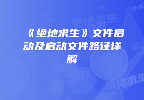 《绝地求生》文件启动及启动文件路径详解