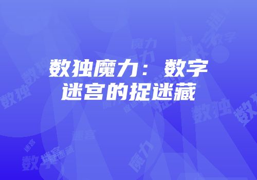 数独魔力：数字迷宫的捉迷藏