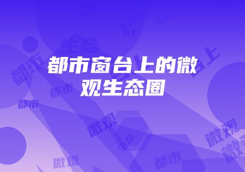 都市窗台上的微观生态圈