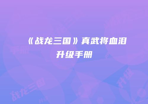 《战龙三国》真武将血泪升级手册