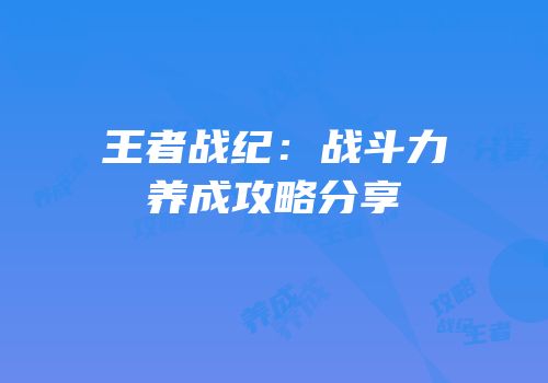 王者战纪：战斗力养成攻略分享