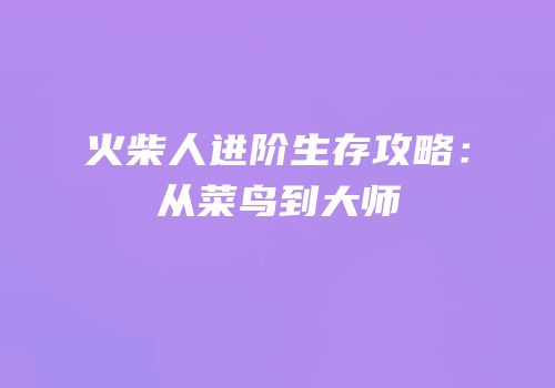 火柴人进阶生存攻略：从菜鸟到大师