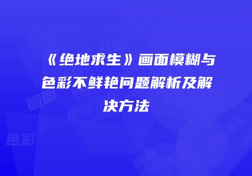 《绝地求生》画面模糊与色彩不鲜艳问题解析及解决方法