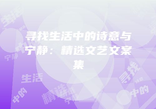 寻找生活中的诗意与宁静：精选文艺文案集