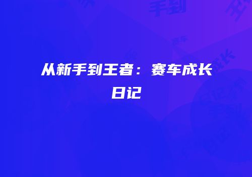 从新手到王者：赛车成长日记