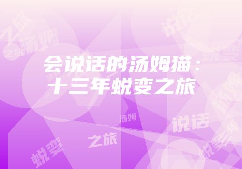 会说话的汤姆猫：十三年蜕变之旅