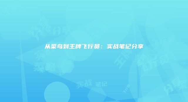 从菜鸟到王牌飞行员：实战笔记分享