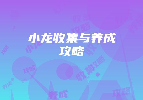 小龙收集与养成攻略