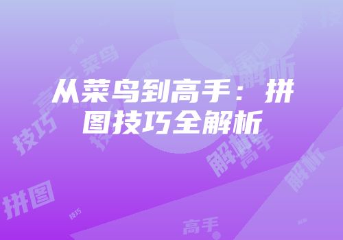 从菜鸟到高手：拼图技巧全解析