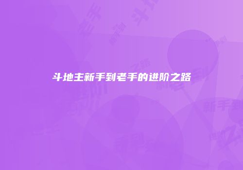 斗地主新手到老手的进阶之路