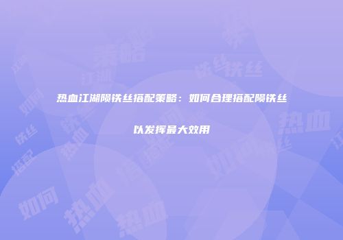 热血江湖陨铁丝搭配策略：如何合理搭配陨铁丝以发挥最大效用