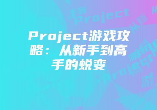 Project游戏攻略：从新手到高手的蜕变