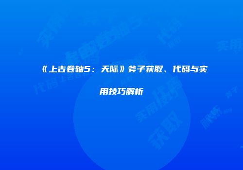 《上古卷轴5：天际》斧子获取、代码与实用技巧解析