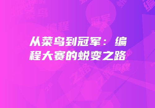 从菜鸟到冠军：编程大赛的蜕变之路