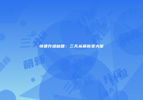 快速升级秘籍：三天从萌新变大佬